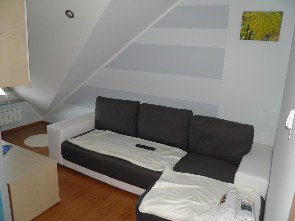 Guesthouse Prenocisca Sirec Птуй Номер фото